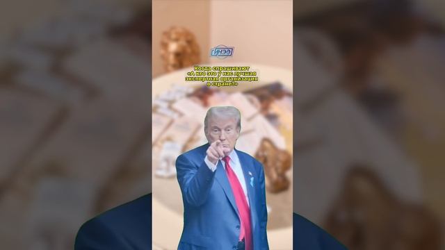 СИНЭО: потому что кто, как не мы? А, вспомнили, — никто!  #shorts #трамп #trump