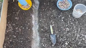 ЧЕСНОК И ЛУК ПОД ЗИМУ.ПРОСТОЙ И ВЕРНЫЙ СПОСОБ