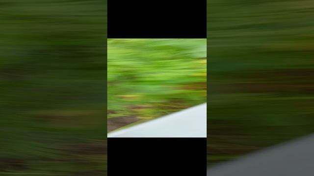 1000011278.mp4