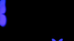 asphalt мокрый как твои глаза я наряжаю ом краду меняй меняй на девочек