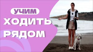 КОМАНДА РЯДОМ, учим на трех собаках