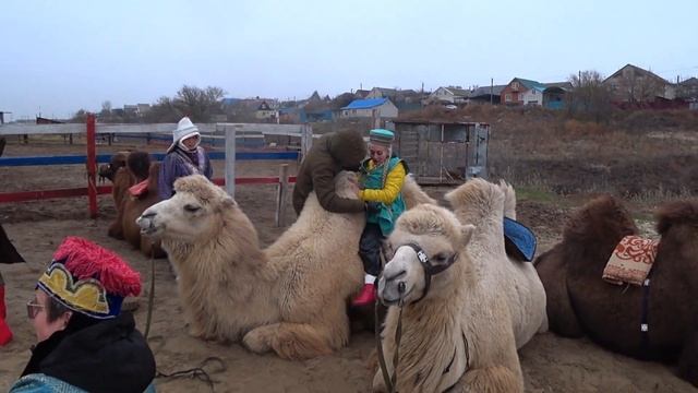 Тысячи километров и два мира за выходные. Волгоград - Элиста смотреть онлайн