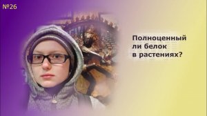 Полноценный ли белок в растениях, или его можно не считать Веганская Диета Про Белок и Аминокислоты