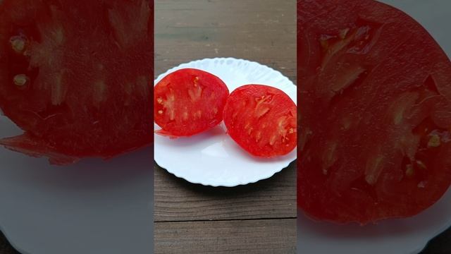 Томат Знаменитая клубника  миссис Шлаубах #дача #томаты