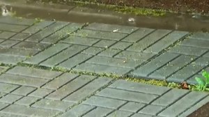 ✅Тротуарная плитка,выбор,уклоны,нюансы за8лет-paving slabs