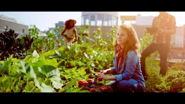 THE FUTURE OF FARMING" URBAN ECO FARMING " IS EXPLAINED SIMPLY #urbanecofarming #ecofarming