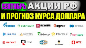 Какие акции я купил себе в инвестиционный портфель?