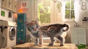 Little Kitten & Friends - Fun Pet Care Kids Game - Little Kitten Adventures