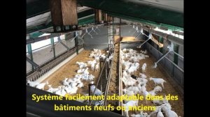 Автоматическая мульчировальная машина SCHAUER для мульчирования помещений для коз и овец.