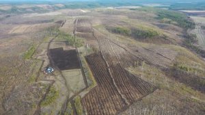 Объемы лесовосстановления