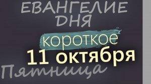 11 октября, Пятница. Евангелие дня 2024 короткое!