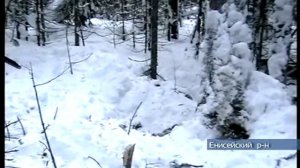 Охота зимой на медведя в Красноярском крае