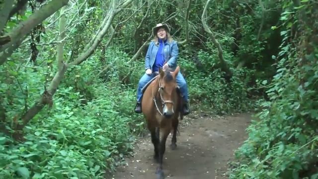 Horseback Riding Half Moon Bay California смотреть онлайн