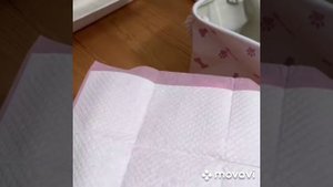 💥👀 Комната для 🐾🐾💕💕💕