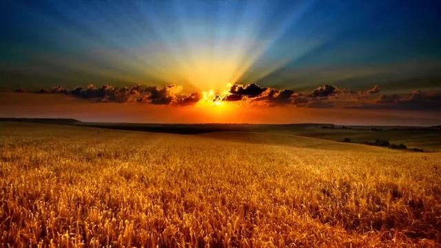 Целительница. смотреть онлайн