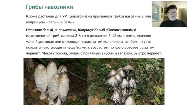 Вебинар в Школе травничества "Фитотерапия алоголизма"
