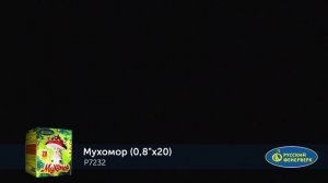 Р7232 Мухомор
