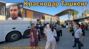 Краснодор Ташкент Автобус