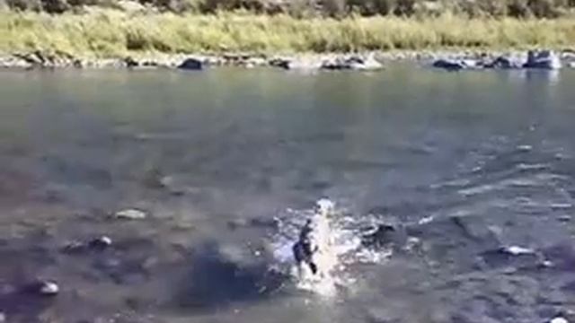 GINA CANE SUB смотреть онлайн