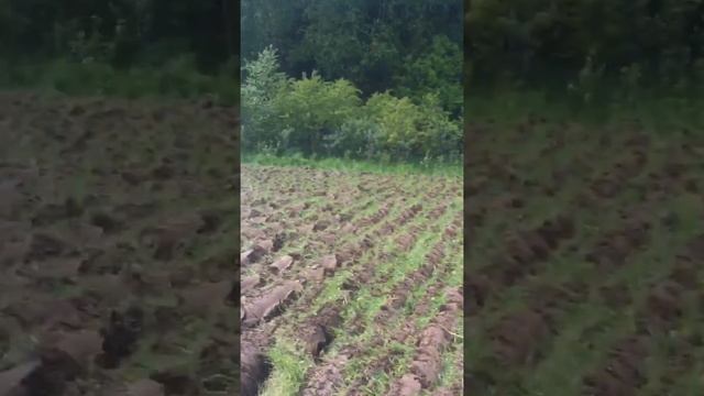 Греем на целине)