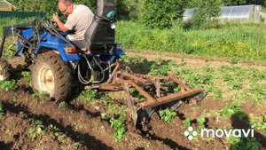 Спасаем урожай картошки,заливает дождями,сорняки,катастрофа!!!