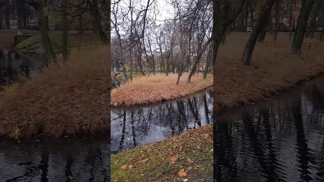 Таврический сад. Пруд