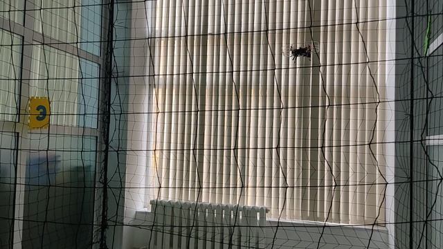 Программное управление коптером