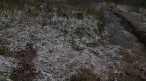 Поход пеший Псковская обл. 2020