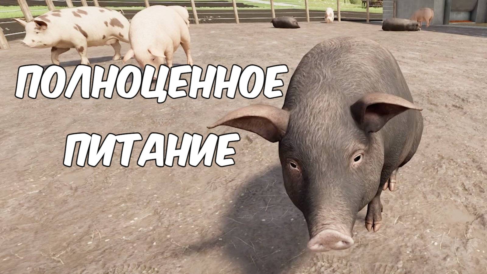 Корм для свиней. Farming simulator 22 #53. КООП. смотреть онлайн