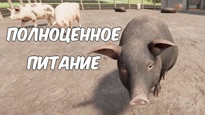 Корм для свиней. Farming simulator 22 #53. КООП.