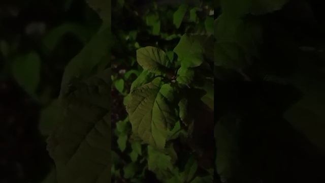 Взаимопонимание.Как общаться с людьми.