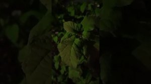 Взаимопонимание.Как общаться с людьми.