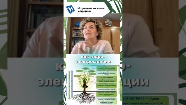 Исцеление на языке медицины. Наталья Толоконская - профессор, доктор медицинских наук.