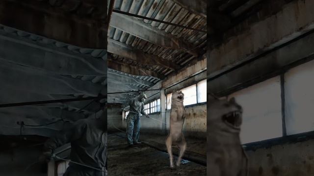 Супер Маляры в тренде