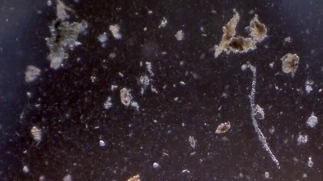 Probe1 DNT DigiMIcro 2.0.avi смотреть онлайн