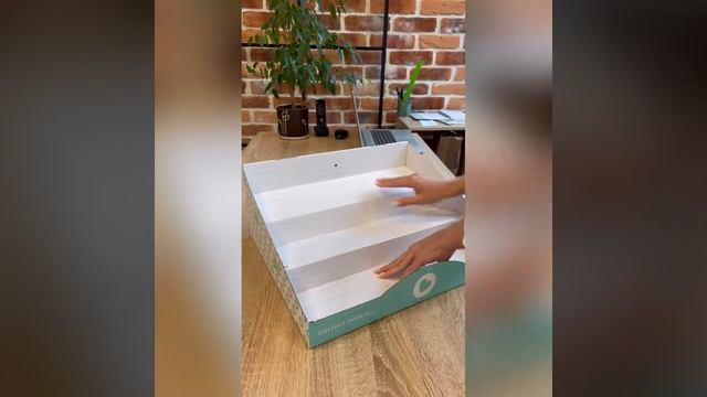 Коллекция Сюрприз. Сборка дисплея