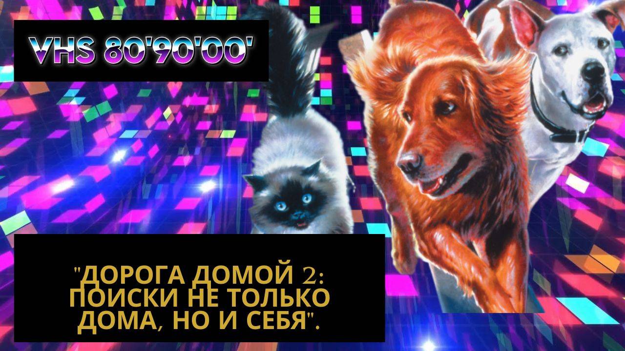 "Дорога домой 2: Поиски не только дома, но и себя". смотреть онлайн