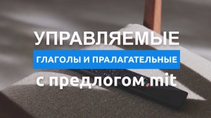 Управляемые глаголы и прилагательные с предлогом mit в немецком языке