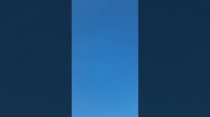 Столб, винт, гребля ногами: Алматинские бойные голуби Ержана, г. Алматы, Казахстан.