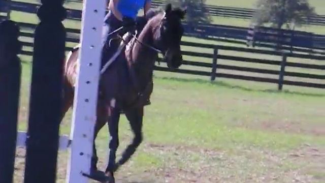 Karen meets Cooper! Work on going deep to a verticle. смотреть онлайн