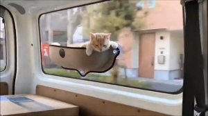 Window Hammock Cat Bed