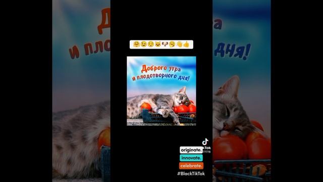 Утро доброе страна😉😌