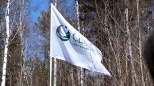 Зеленая весна - 2019