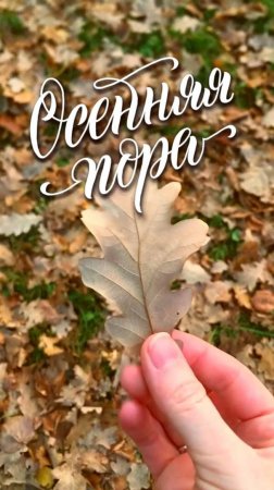 Осенняя пора 🍁🍁🍁