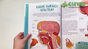 Невероятное тело человека. Энциклопедия для детей