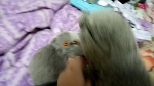 Ураааааа!!!!!!