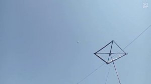 голубеи Казахстан Алматы