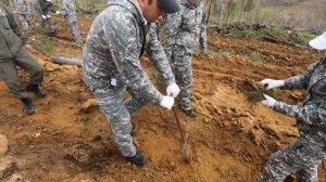 Всероссийский День посадки леса 2018