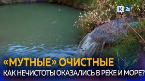 Септики и очистные сооружения портят речную воду в Абрау-Дюрсо