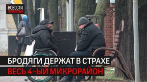 Бездомные держат в страхе жителей 4-го микрорайона в Одинцове // 360 Одинцово